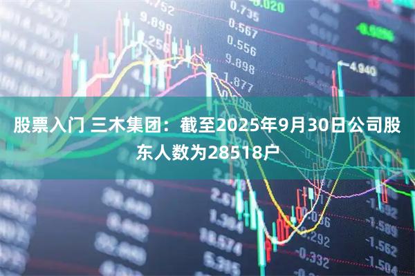 股票入门 三木集团：截至2025年9月30日公司股东人数为28518户