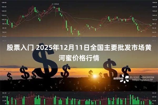 股票入门 2025年12月11日全国主要批发市场黄河蜜价格行情
