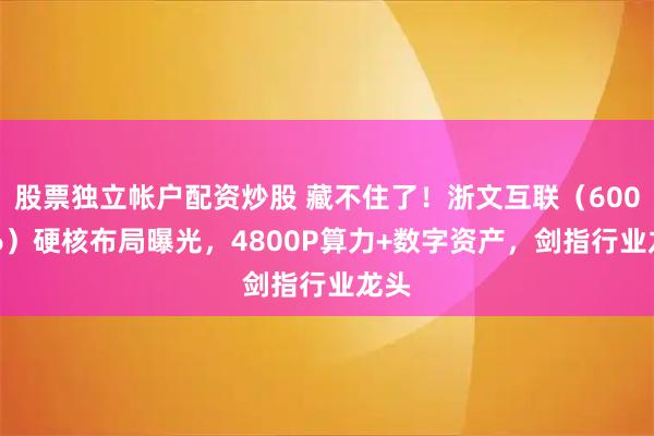 股票独立帐户配资炒股 藏不住了！浙文互联（600986）硬核布局曝光，4800P算力+数字资产，剑指行业龙头