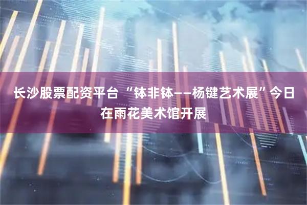 长沙股票配资平台 “钵非钵——杨键艺术展”今日在雨花美术馆开展